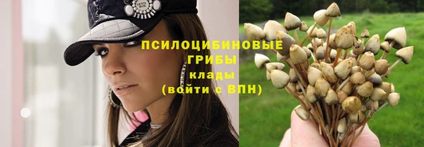 MESCALINE Осташков