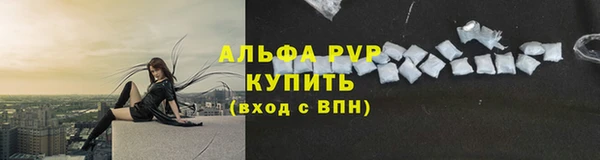 PSILOCYBIN Няндома