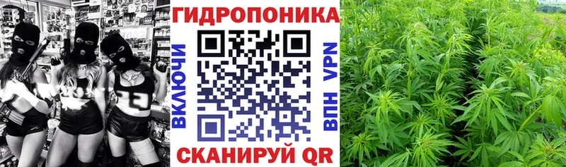 Конопля Bruce Banner  Островной 